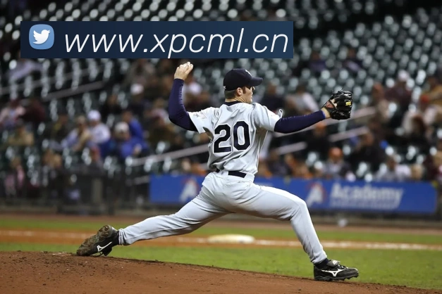 App Interface Preview